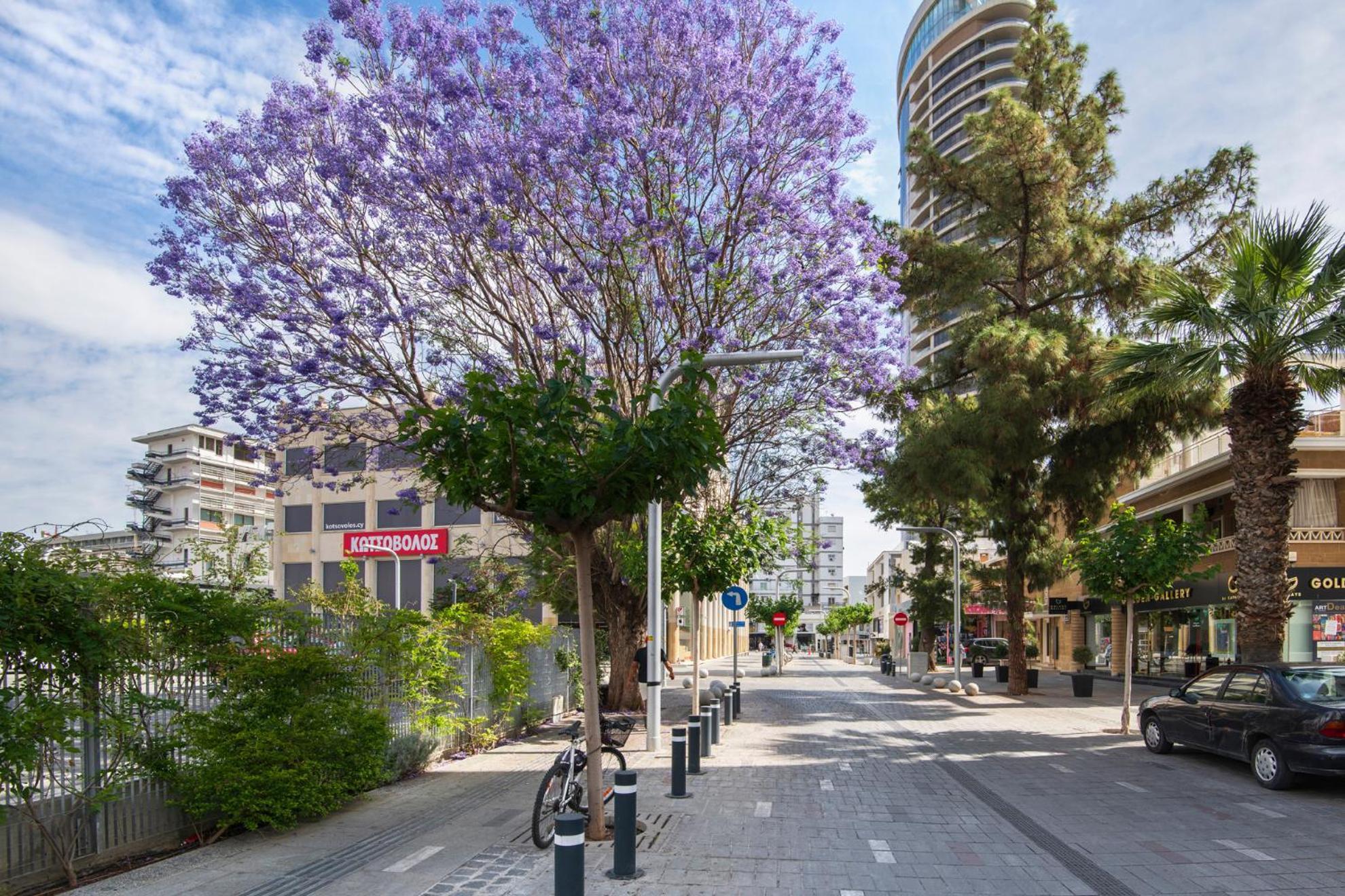 Urban Condo 12 - 2 Bdr Nicosia Luaran gambar